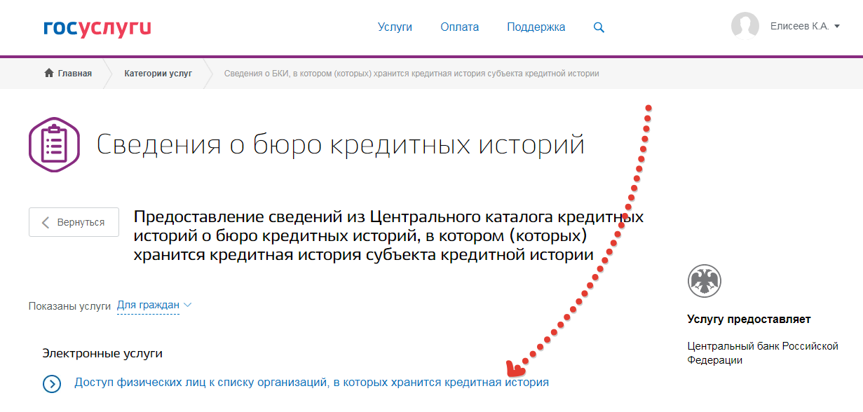 Увеличить лимит кошелька вайлдберриз через госуслуги как. Кредитная история. Займ через госуслуги. Кредитная история на госуслугах. Запрет на выдачу кредитов на госуслугах.