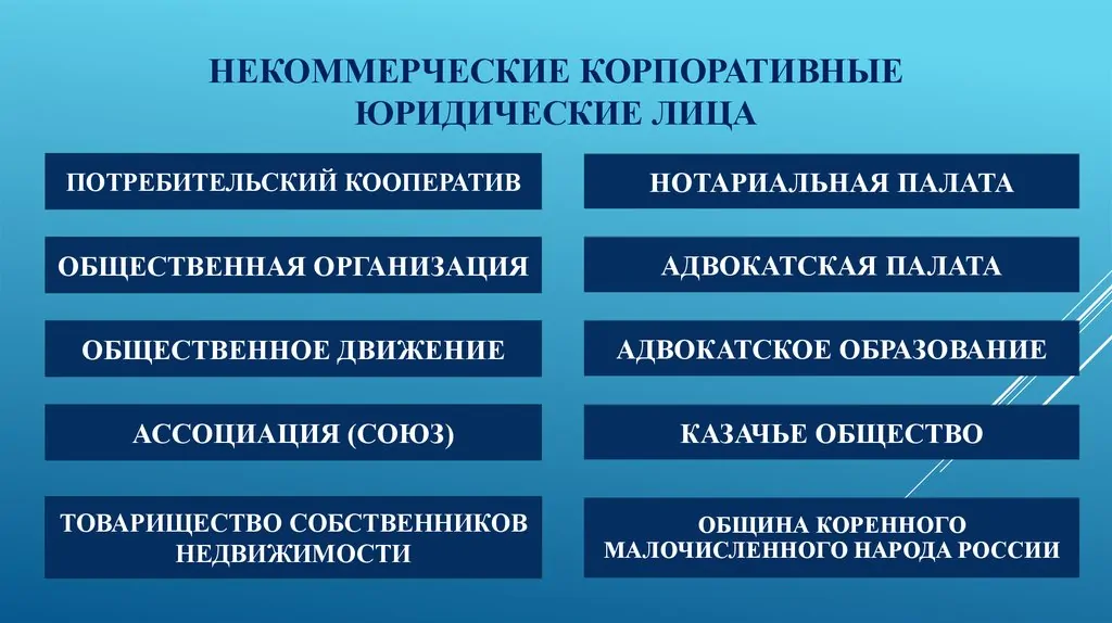 Коммерческие юридические лица презентация