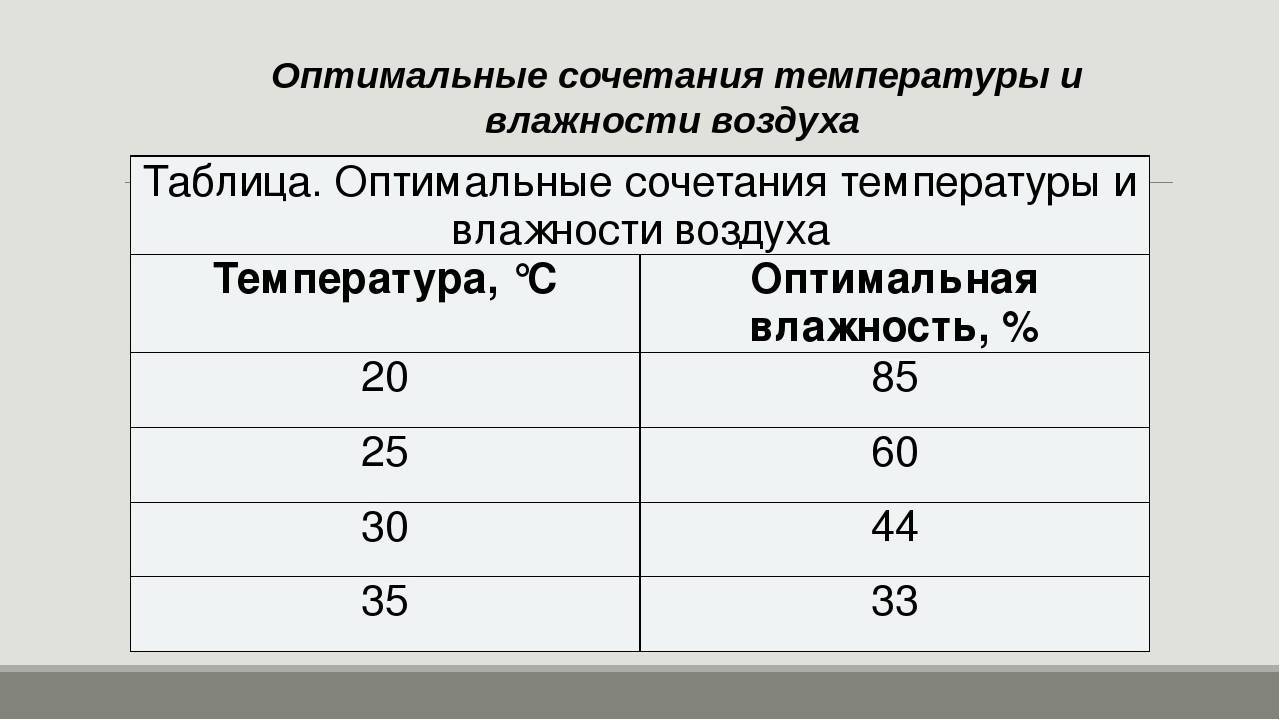 Влажность воздуха в квартире: норма, измерение, правила