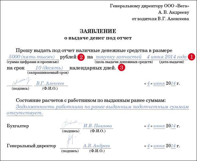 Заявление на подотчет от директора: как правильно составить - buhsov