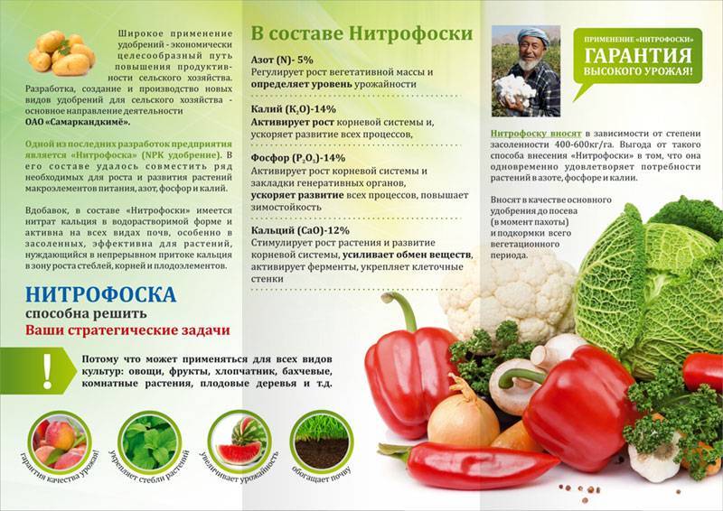 Удобрение нитрофоска – применение на огороде и в саду