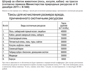 Сколько штраф за косулю. Штрафы за сбитых животных в России. Таблица сбитых животных штрафов. Штрафы за сбитых животных 2021. Штраф за сбитое животное.