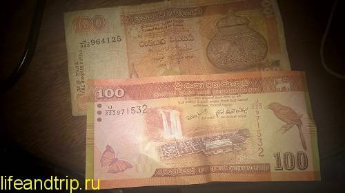 Валюта шри ланки: курс шри-ланкийской рупии к рублю и доллару, где менять деньги