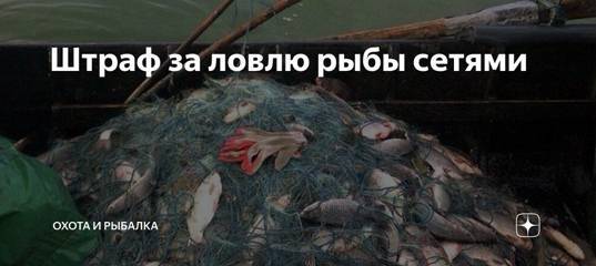 Правительство утвердило гигантские штрафы за незаконную рыбалку: полный список!