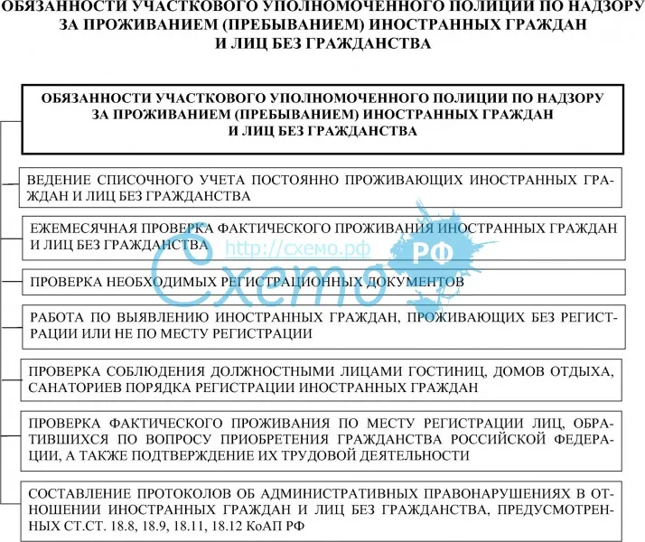 Полномочия участкового полиции. права и обязанности участкового инспектора :: businessman.ru