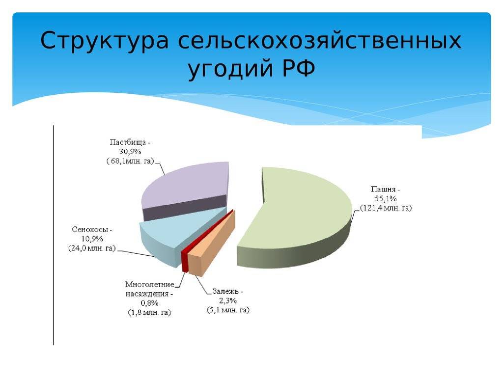 Сельскохозяйственные угодья: структура, назначение, виды :: syl.ru