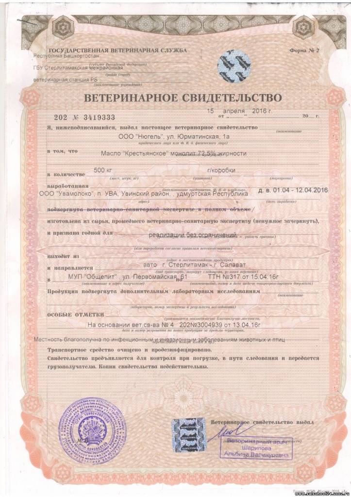 Как получить ветеринарное свидетельство. ветеринарное свидетельство и его формы