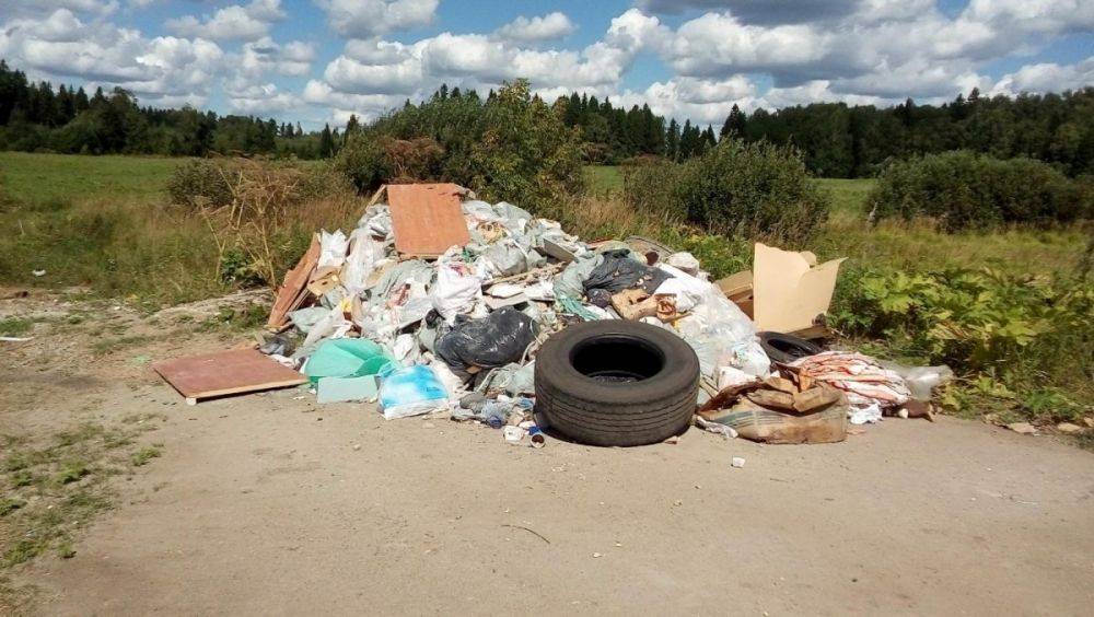 Несанкционированный выброс бытовых отходов проект