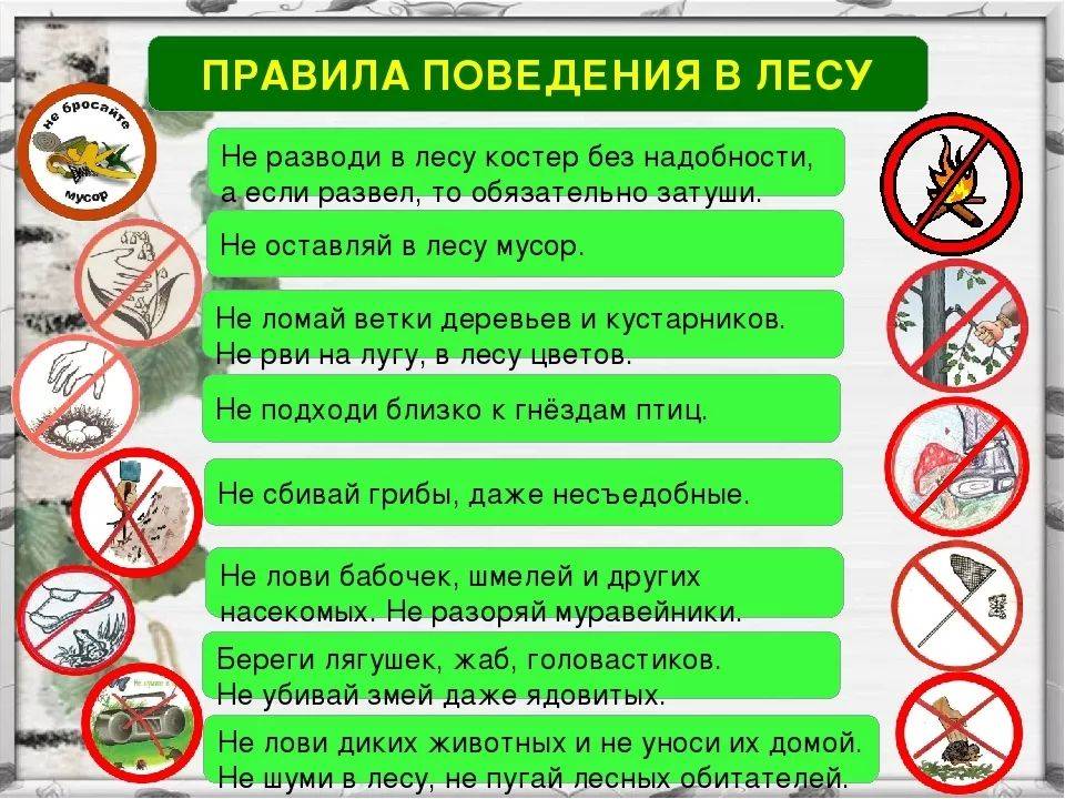 Правила поведения на природе. как вести себя на отдыхе :: businessman.ru