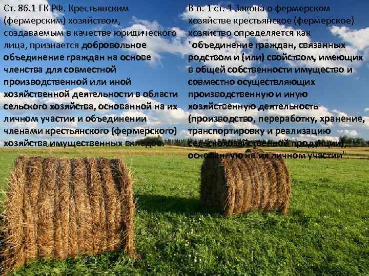 Что такое крестьянское фермерское хозяйство (кфз), как его зарегистрировать и как ликвидировать, как получить землю