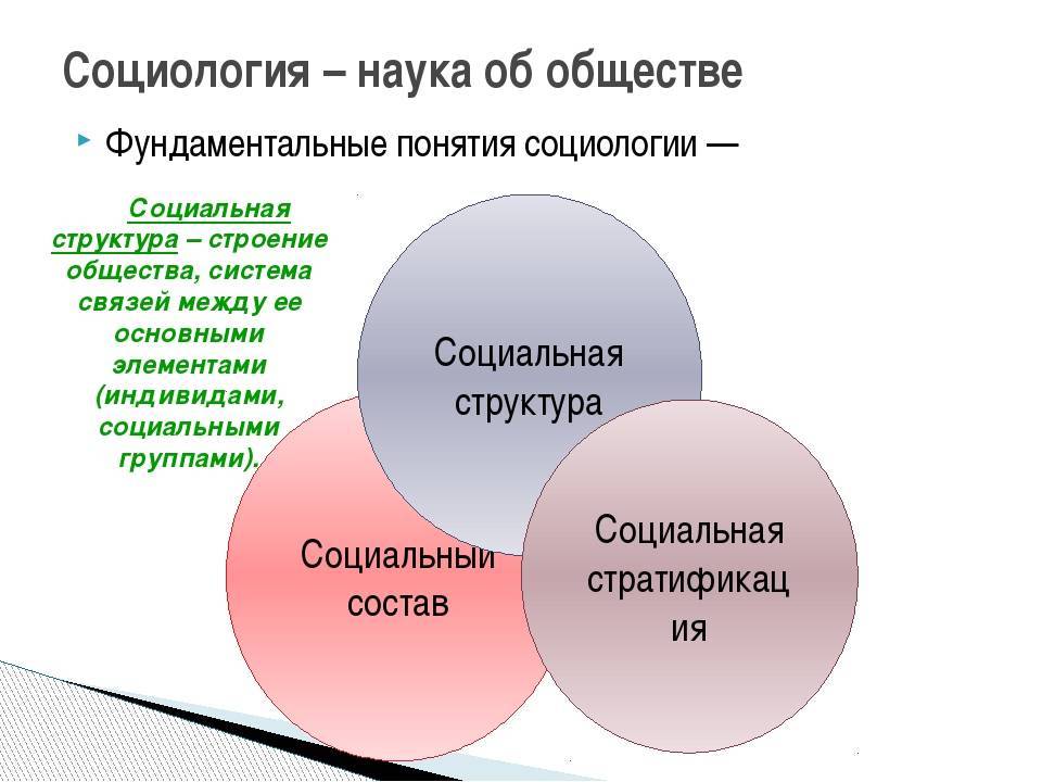 Что такое социальная структура: понятие, основные элементы. социальная система