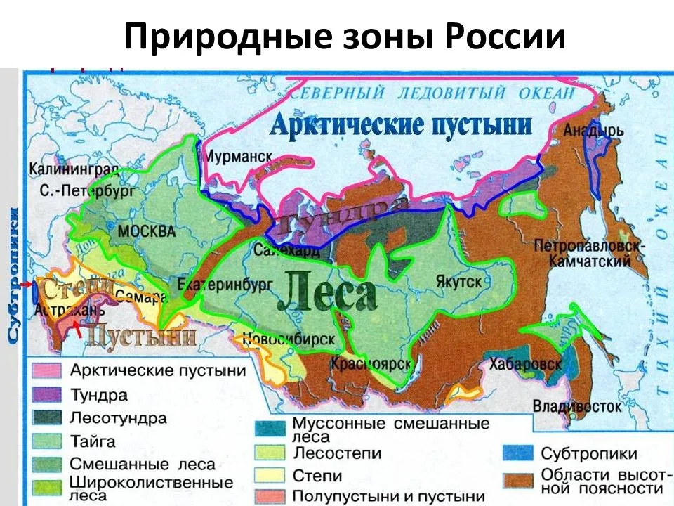 Характеристика и положение природных зон, почв россии на карте мира