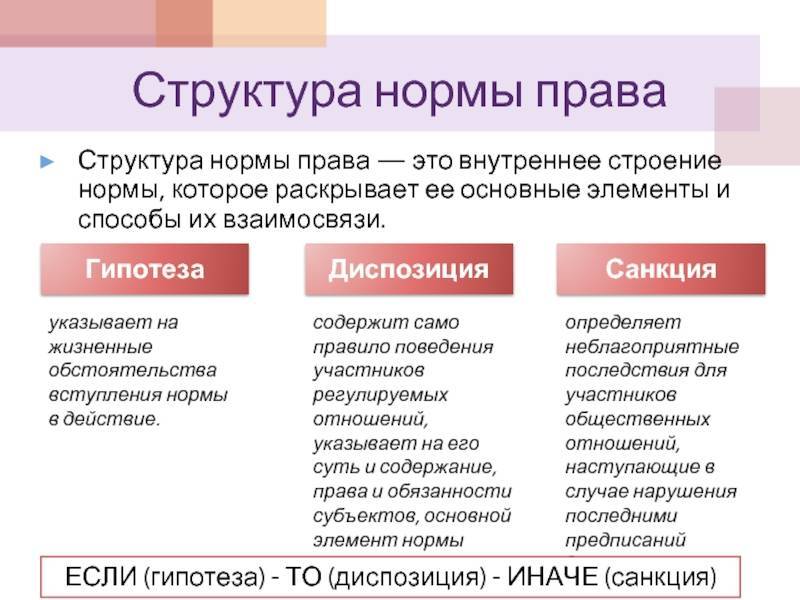 Структура права. понятие и структура нормы права. элементы структуры права :: businessman.ru