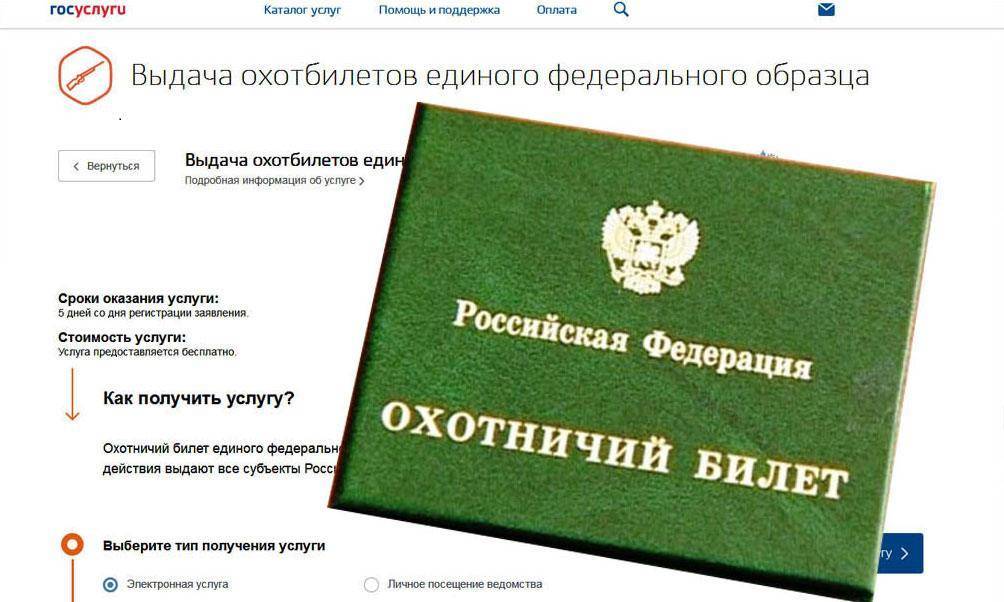 Выдача охотничьего билета единого федерального образца госуслуги