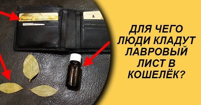 Самый сильный заговор на лавровый лист для привлечения денег