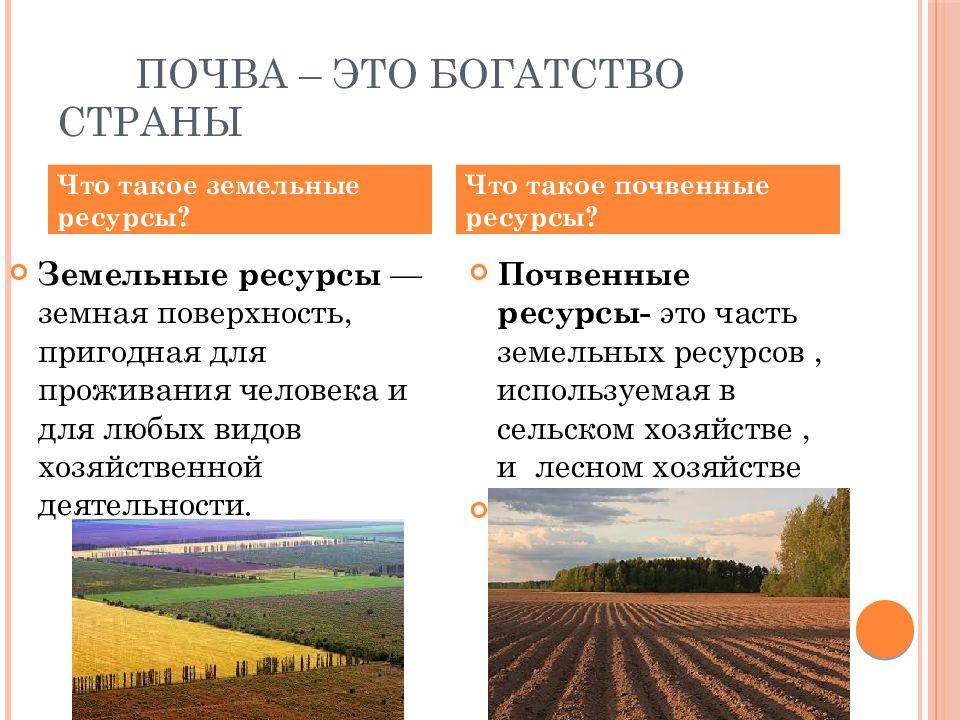 Урок 4: природные богатства - 100urokov.ru