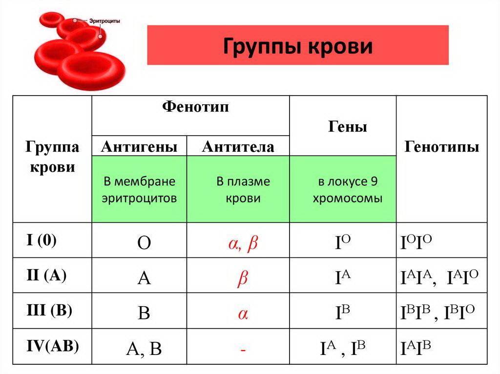 Какая группа крови самая востребованная в донорстве – классификация групп, и что такое резус-фактор | dlja-pohudenija.ru