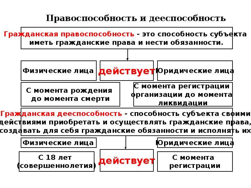 Гражданская правоспособность план егэ