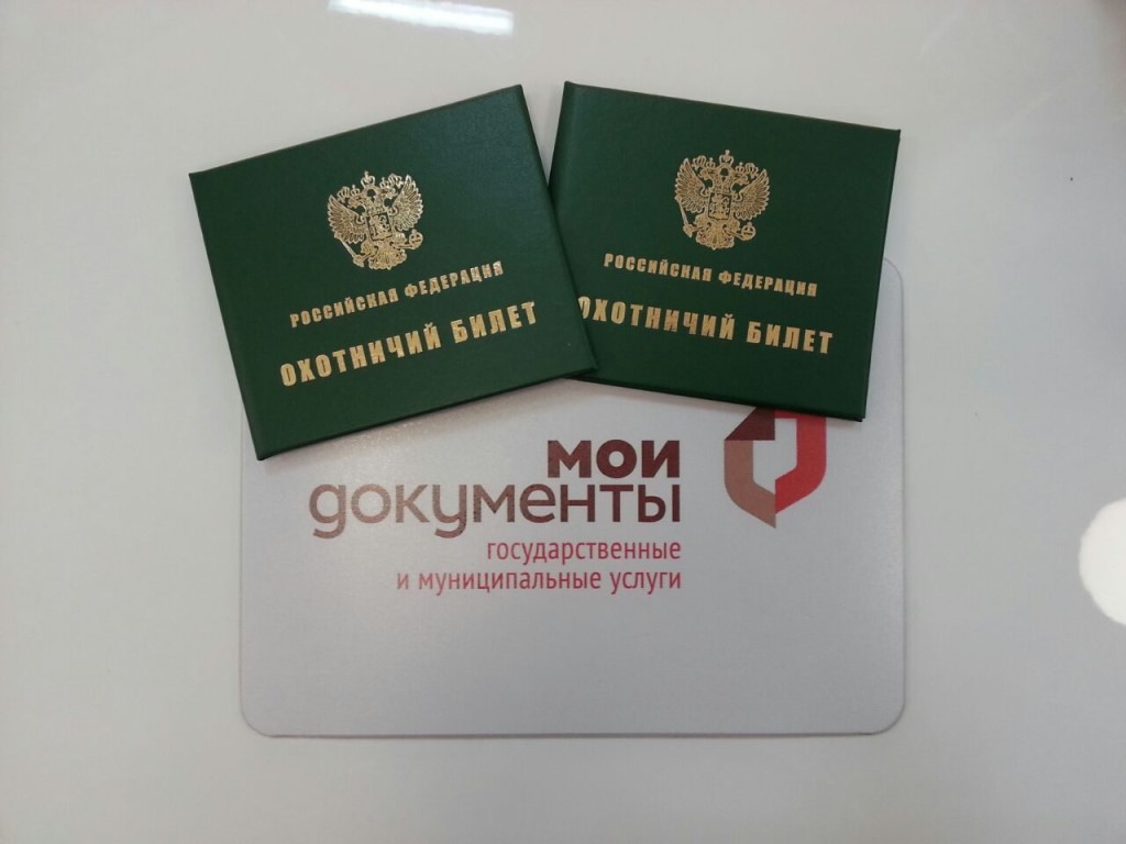 Как и где получить охотничий билет единого федерального образца? :: businessman.ru