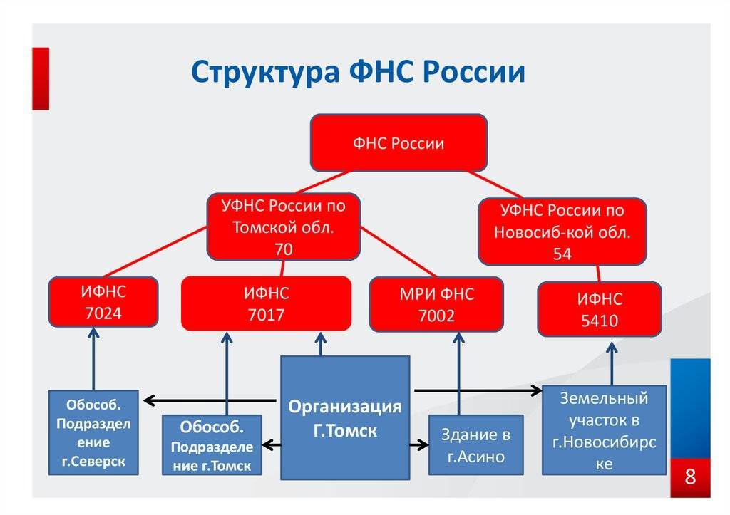 Функции, полномочия и организационная структура фнс россии :: businessman.ru