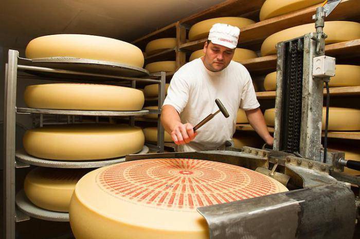 Производство сыра как бизнес: как открыть мини-цех