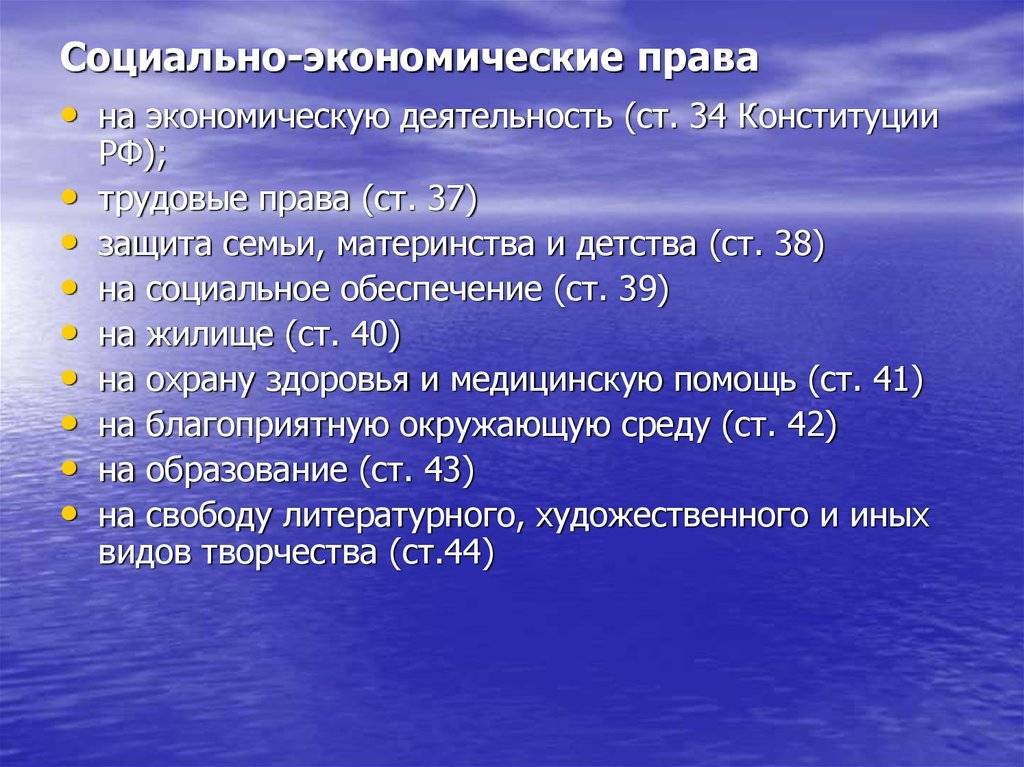 Социально экономические права граждан проект