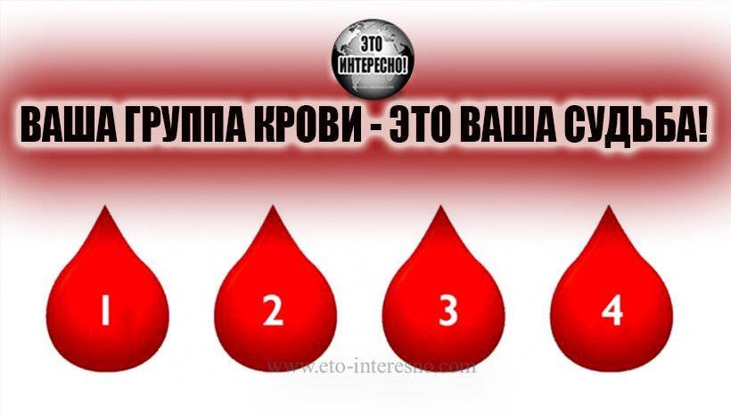 Какая группа крови лучше для человека. доноры с какой группой крови востребованы больше. какая группа крови считается самой лучшей. какая группа крови самая востребованная для донорства
