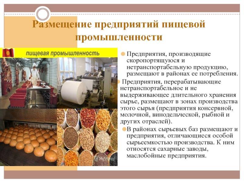 Производство домашней колбасы как бизнес