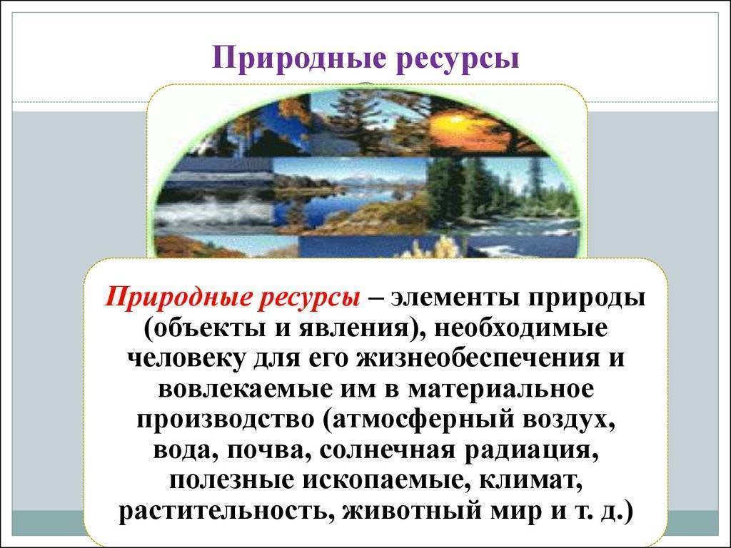 Природные ресурсы россии, добываемые на европейском севере и других районах