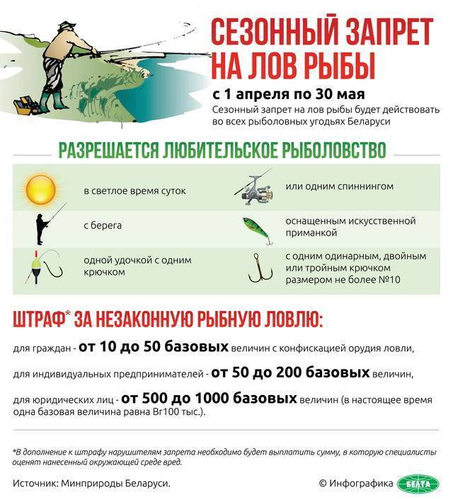 Запрет на ловлю спиннингом: время, штрафы. весенний нерест :: businessman.ru