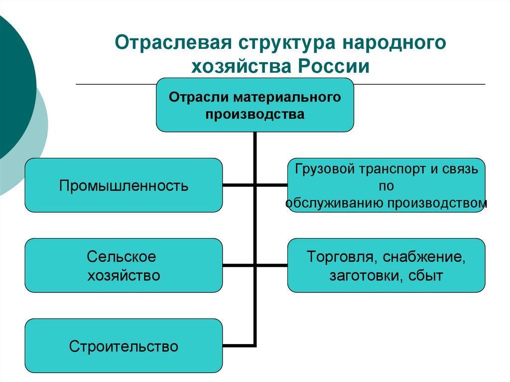 Структура хозяйства россии