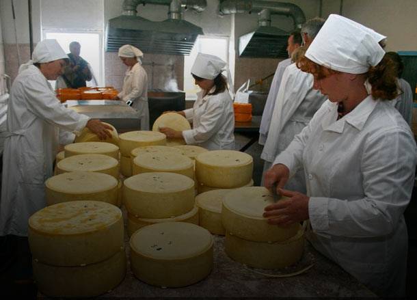 Производство сыра в домашних условиях как мини-бизнес