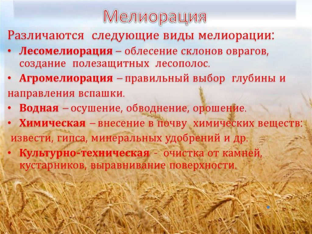 Мелиорация почв