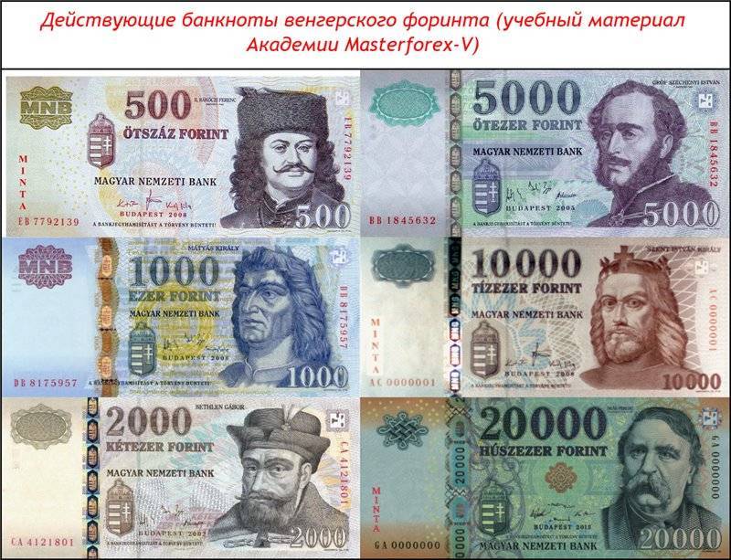 С какой валютой ехать в будапешт 2018: какие деньги в венгрии 2018