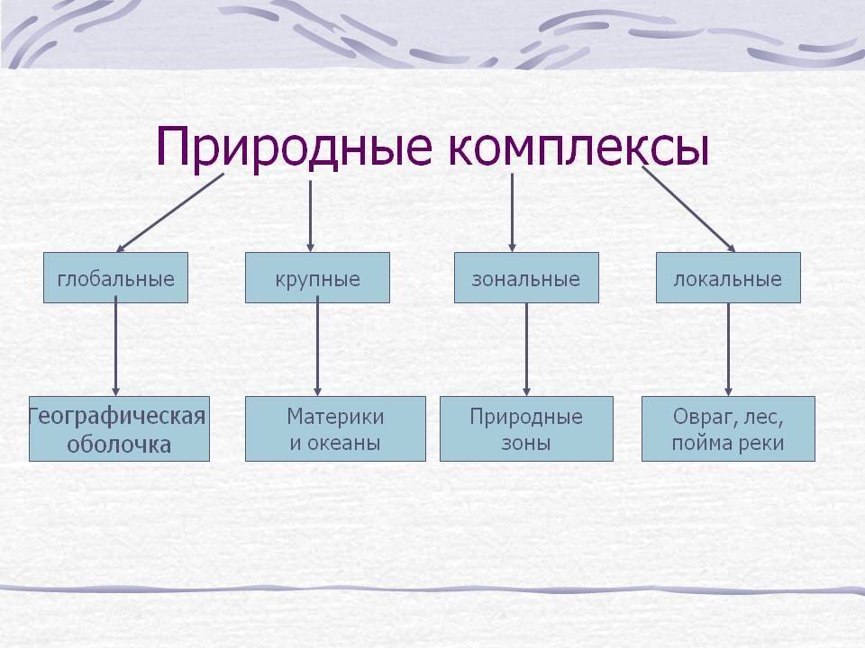 Разнообразие природных комплексов россии презентация, доклад
