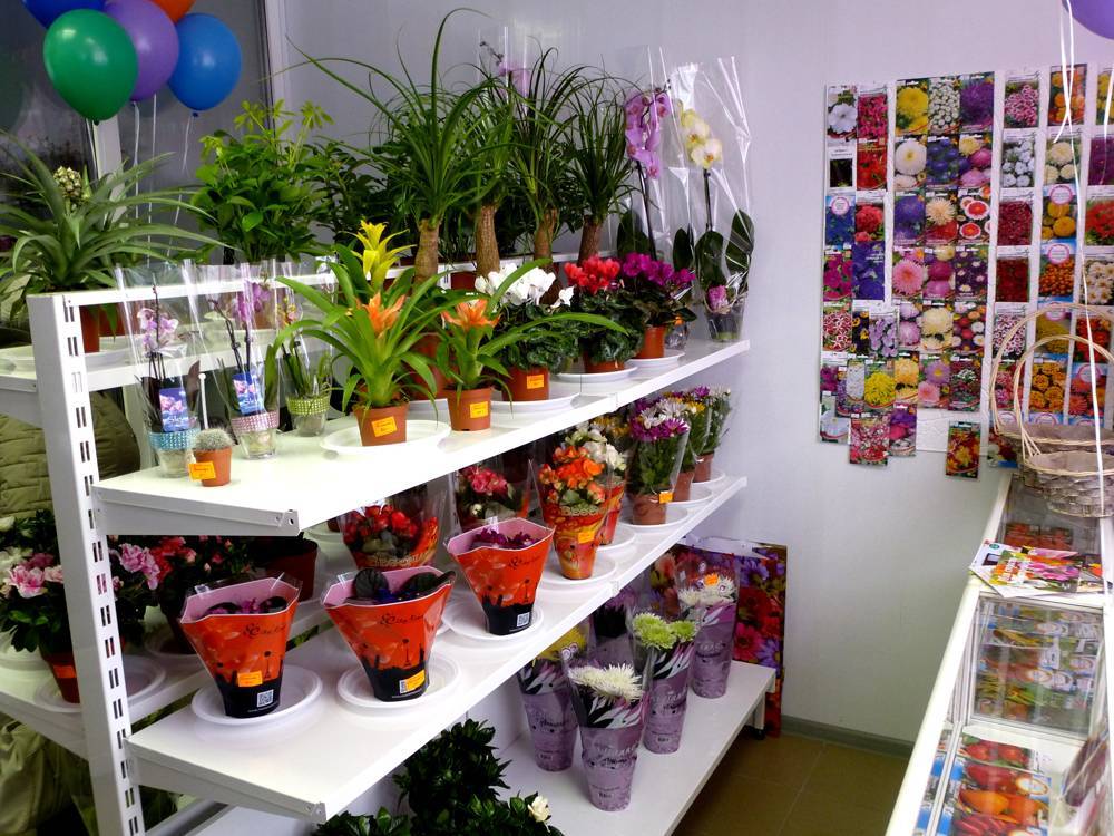 Бизнес-план магазина цветов