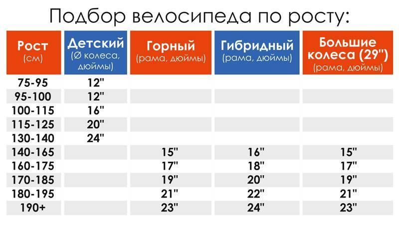 Как выбрать велосипед взрослому? топ-5 критериев выбора :: businessman.ru