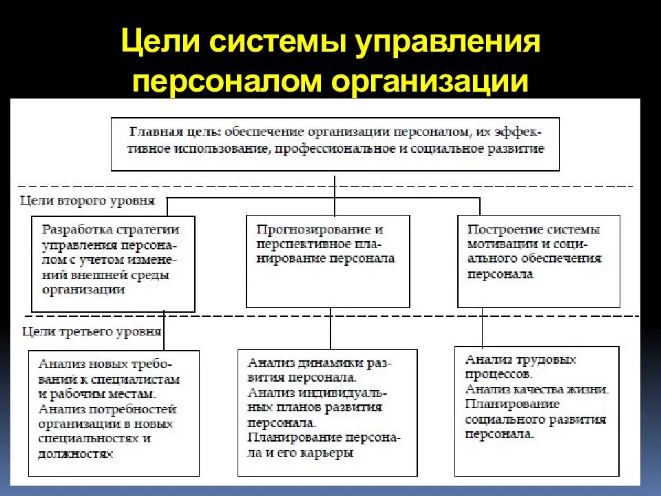 Организация управления персоналом проекта курсовая