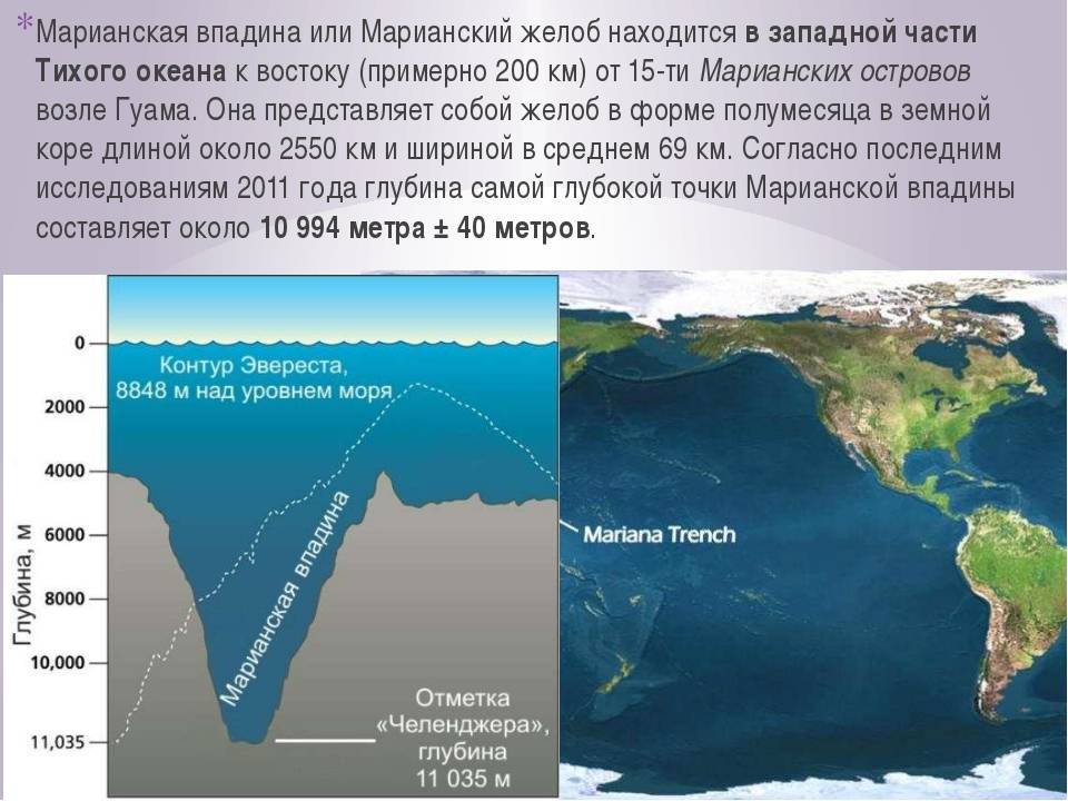 Марианская впадина — глубина, дно, где находится, фото, обитатели, погружение, тихий океан, рыбы - 24сми