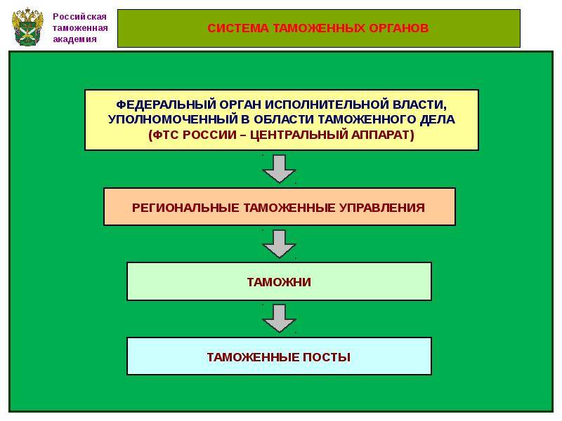 Схема таможенных органов рф