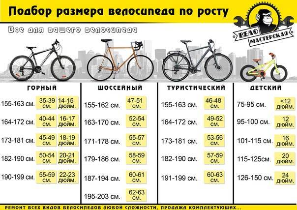 Как выбрать велосипед? как выбрать велосипед по росту ребенку и взрослому :: businessman.ru