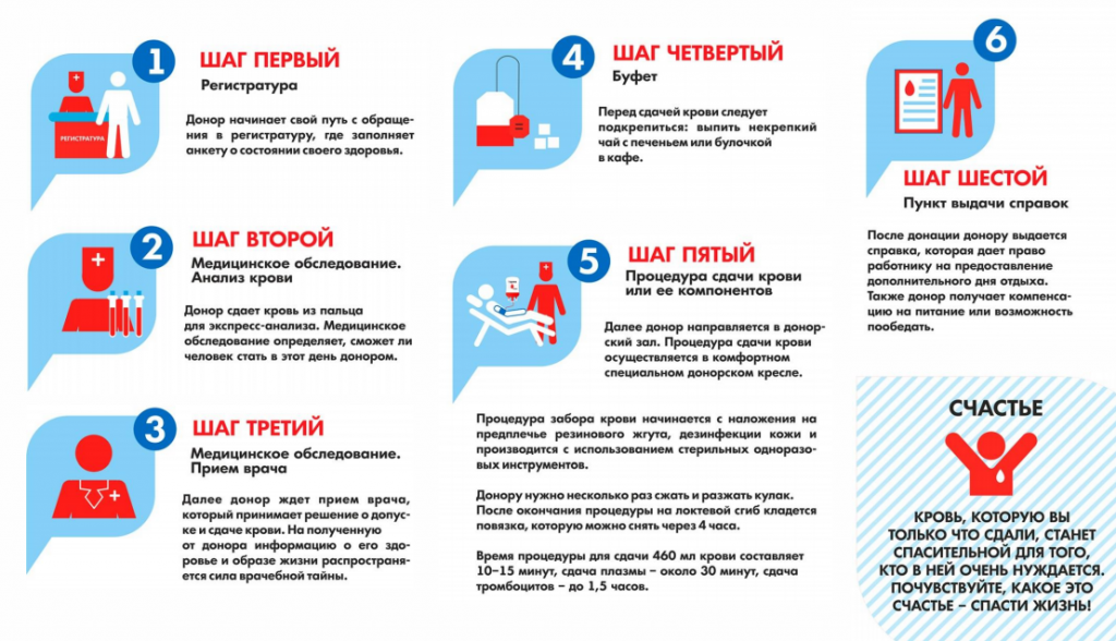 Как устроено донорство крови и костного мозга в россии