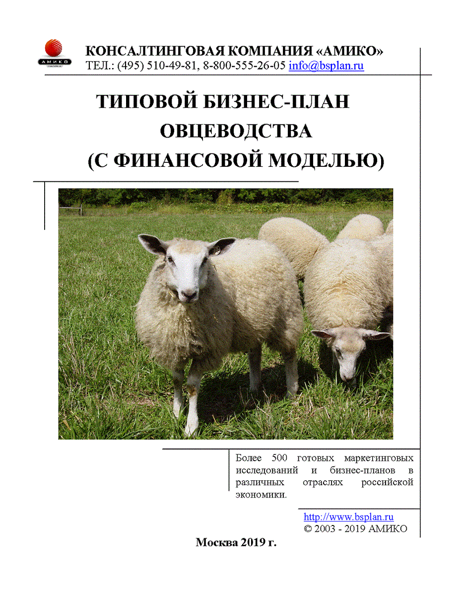 Разведение овец как бизнес | cельхозпортал