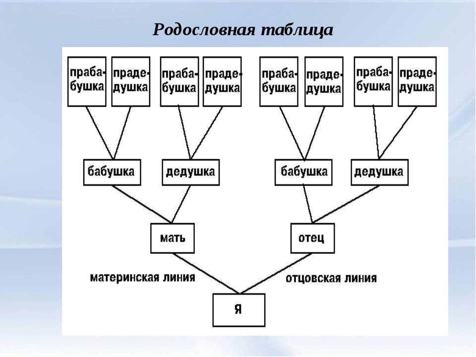 Степени родства схема