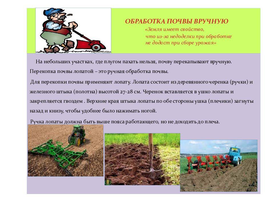 Подготовка почвы к посадке различных культур | cельхозпортал