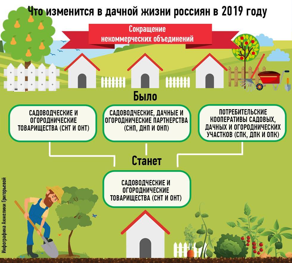 Новый закон о садоводческих товариществах с 1 января 2022 года: что будет?