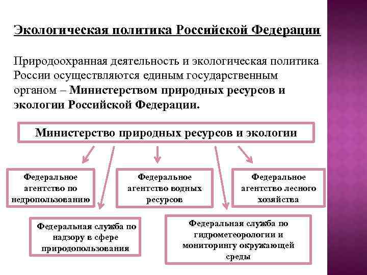 Экологическая политика. министерство природных ресурсов и экологии :: businessman.ru