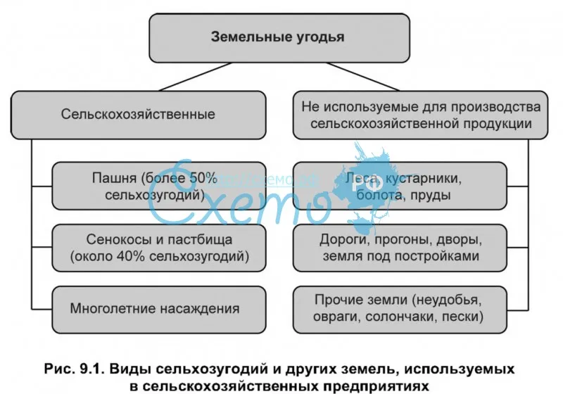 Сельскохозяйственные угодья: структура, назначение, виды :: syl.ru