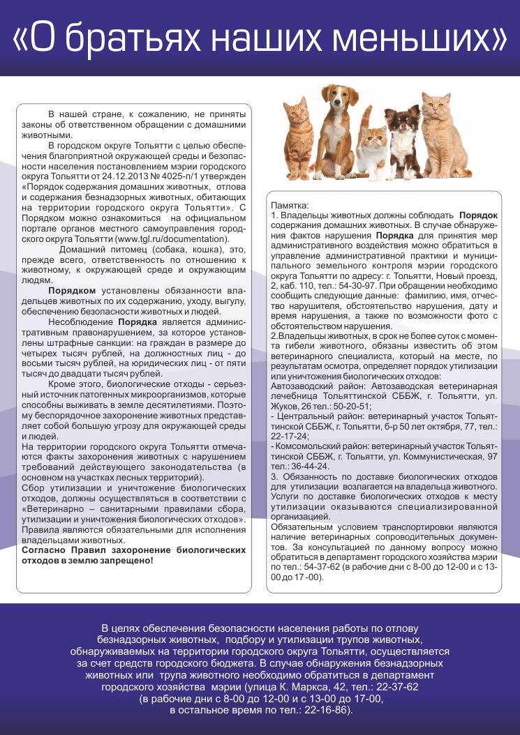Имеет ли право служба отлова безнадзорных животных, требовать деньги за возврат собаки, кошки владельцу