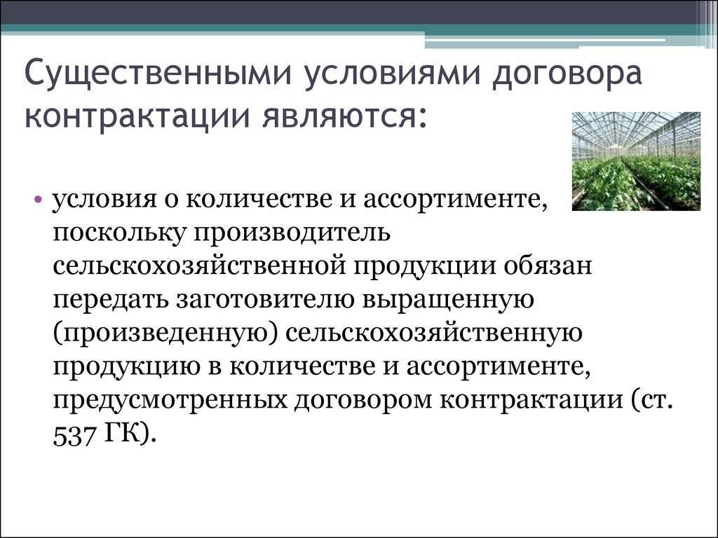 План контрактации это